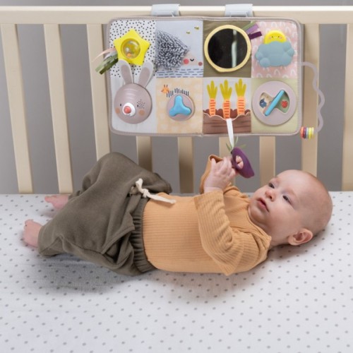 Розвиваюча іграшка Taf Toys центр для ліжечка - Пізнай світ (13115)