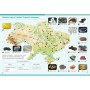 Атлас НУШ Я досліджую світ. 4 клас Ранок (9786170970008)