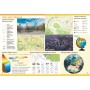 Атлас НУШ Я досліджую світ. 4 клас Ранок (9786170970008)