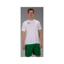 Футболка Joma Combi 100052.200 білий S (9995042144069)