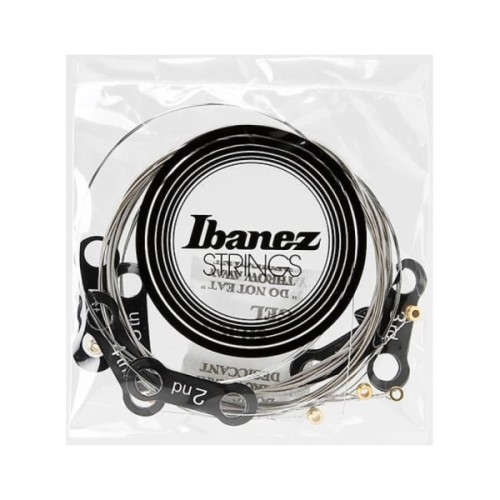 Струни для гітари Ibanez IEGS6 Electric Guitars Strings 09-42 (301869)