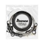 Струни для гітари Ibanez IEGS6 Electric Guitars Strings 09-42 (301869)