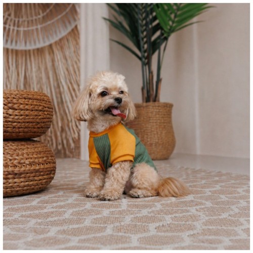 Футболка для тварин Pet Fashion Kent S (4823082446155)