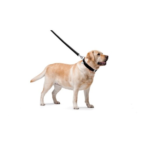 Повідець для собак WAUDOG Glamour шкіряний M-XXL чорний (33761)