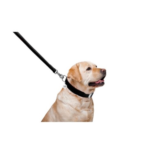 Повідець для собак WAUDOG Glamour шкіряний M-XXL чорний (33761)
