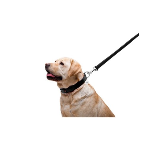 Повідець для собак WAUDOG Glamour шкіряний M-XXL чорний (33761)