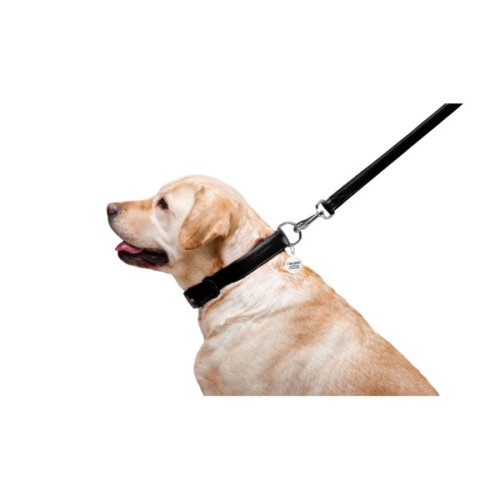 Повідець для собак WAUDOG Glamour шкіряний M-XXL чорний (33761)