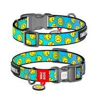Нашийник для тварин WAUDOG Nylon з QR-паспортом "Смайли на блакитному", пластиковий фастекс S (280-0182)