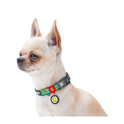 Нашийник для тварин WAUDOG Nylon з QR-паспортом "Смайли на блакитному", пластиковий фастекс S (280-0182)