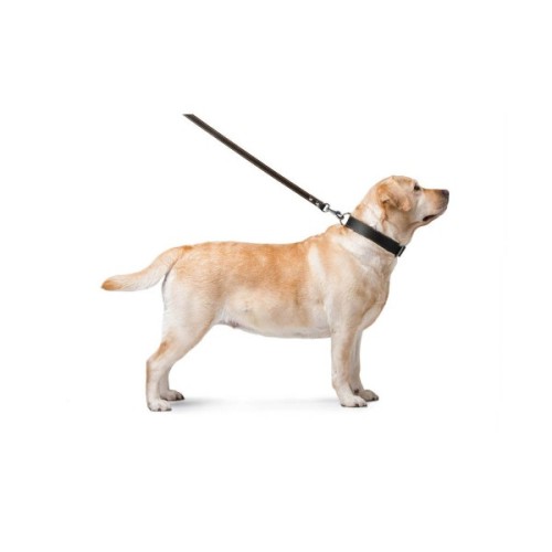 Повідець для собак Collar подвійний з прошивкою Ш 20 мм Д 122 см чорний (04741)