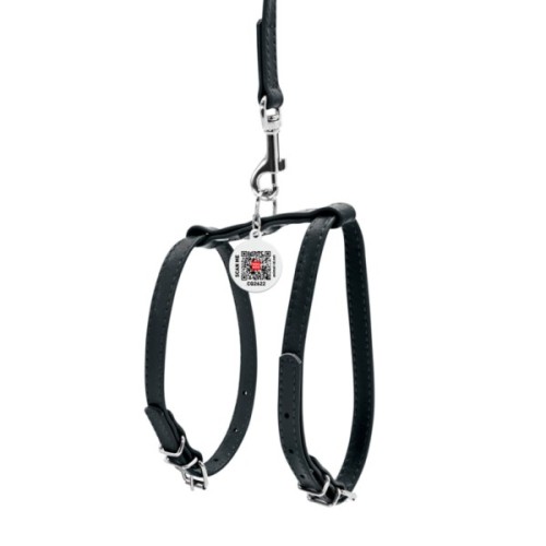 Шлея для собак WAUDOG Glamour з повідцем шкіряна Ш 12 мм А 25-33 см В 35-43 см чорна (34001)