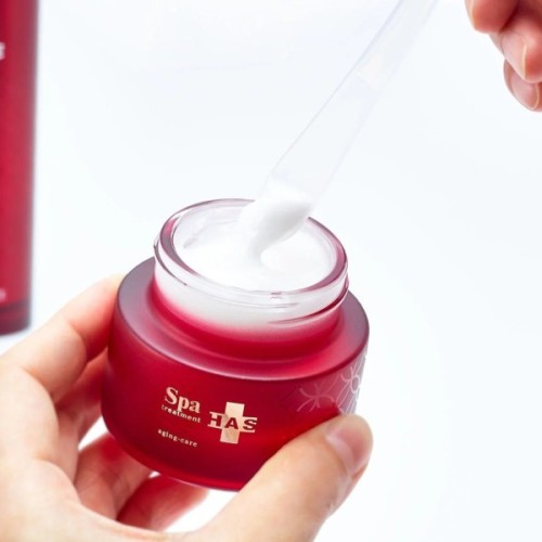 Крем для обличчя SPA Treatment HAS Moist Cream Зволожуючий 30 г (4544877507140)