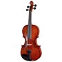 Скрипка Stentor Graduate Violin Outfit 3/4 (1542C)