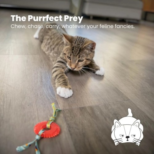 Іграшка для котів Petstages Колесо червоне (0871864007159)