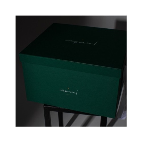 Ковдра MirSon Thinsulat Imperial Satin Luxe Зима 155х215 (2200007177714)