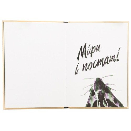 Книга Сили безплотні, людські й безпілотні - Ганна Яновська Жорж (9786178023898)