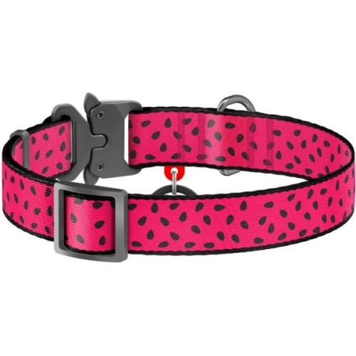 Нашийник для тварин WAUDOG Nylon "Кавун" металічна пряжка-фастекс М (5146)