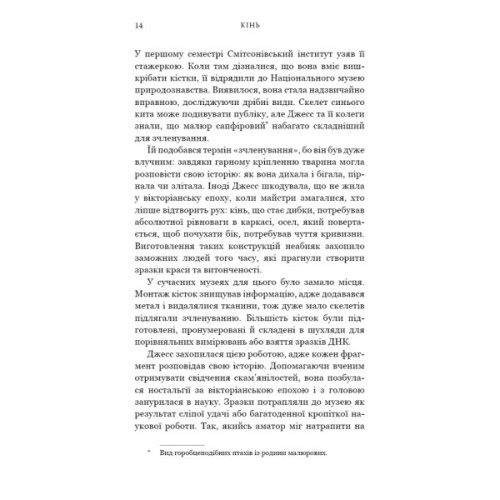 Книга Кінь: роман - Джеральдін Брукс BookChef (9786175484043)