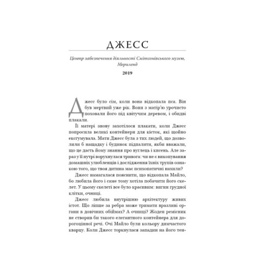 Книга Кінь: роман - Джеральдін Брукс BookChef (9786175484043)