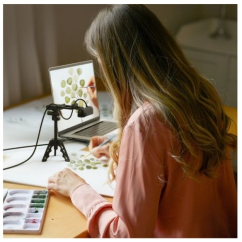 Веб-камера J5create JVU250-N Full HD USB-A/C (JVU250-N)