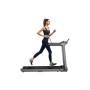 Бігова доріжка Kingsmith WalkingPad Treadmill X218 (X218)