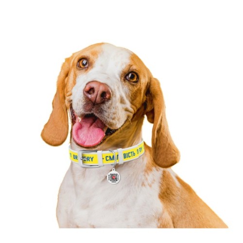 Нашийник для тварин WAUDOG Design з QR паспортом "Сміливість" Ш 35 мм Д 46-59 см білий (3606-0231-15)