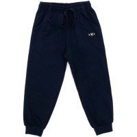 Штани дитячі Breeze базова (21249-110B-blue)