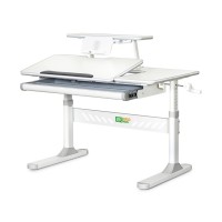 Парта ErgoKids TH-320 Grey (TH-320 W/G)
