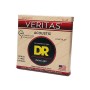 Струни для гітари DR Strings VERITAS Coated Core Acoustic Guitar Strings - Extra Light (10-48) (VTA-10)