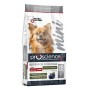Сухий корм для собак ProScience Mini Adult Dog Lamb & Blueberry 2 кг (8694686407608)