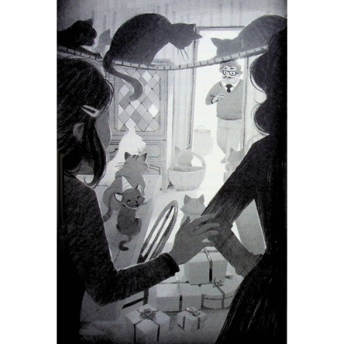 Книга Опівнічні Коти. Кіт-привид із Бейкерлу. Книга 4 - Барбара Лабан Видавництво РМ (9786178603427)