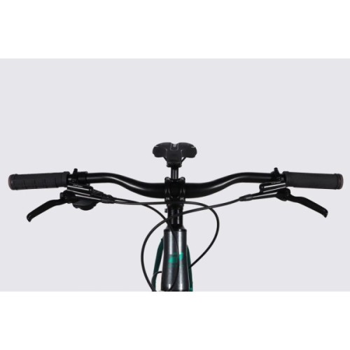 Велосипед Formula 29" ZEPHYR 1.0 HDD рама-21" AL 2026 темно-сріблястий з зеленим (OPS-FR-29-453)