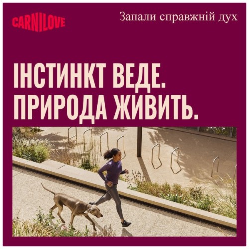 Сухий корм для собак Carnilove Active Lamb & Wild Boar 4 кг (8595602581122)