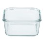 Харчовий контейнер miFamilia Nested Collection Q 1000 мл (6034)