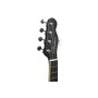 Укулеле Fender Billie Eilish Ukulele BLK WN (230689)