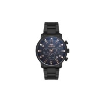 Наручний годинник Ferro FM31914A-G
