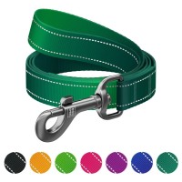 Повідець для собак WAUDOG Nylon Mono світловідбивний, S, Ш 15 мм, Д 300 см, зелений (464318)