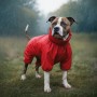 Дощовик для тварин WAUDOG Clothes водонепроникний L55 червоний (19913)