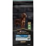 Сухий корм для собак Purina Pro Plan Large Athletic Adult 2+ Sensitive Digestion Для великих порід атлетичної статури З ягням 14 кг (7613035415591)