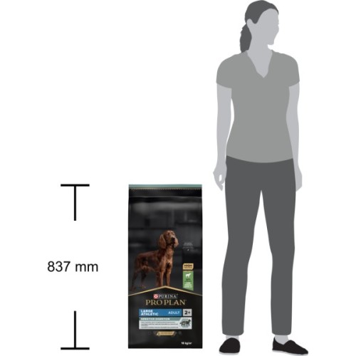 Сухий корм для собак Purina Pro Plan Large Athletic Adult 2+ Sensitive Digestion Для великих порід атлетичної статури З ягням 14 кг (7613035415591)