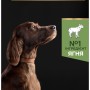 Сухий корм для собак Purina Pro Plan Large Athletic Adult 2+ Sensitive Digestion Для великих порід атлетичної статури З ягням 14 кг (7613035415591)