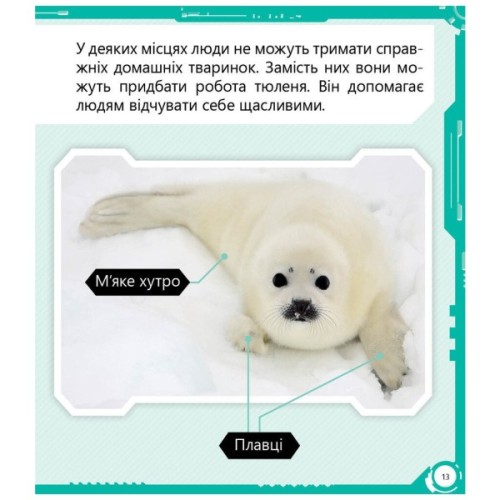 Книга Робопарк і не тільки Перше читання Non Fiction. Рівень 4 Ранок (9786170940339)