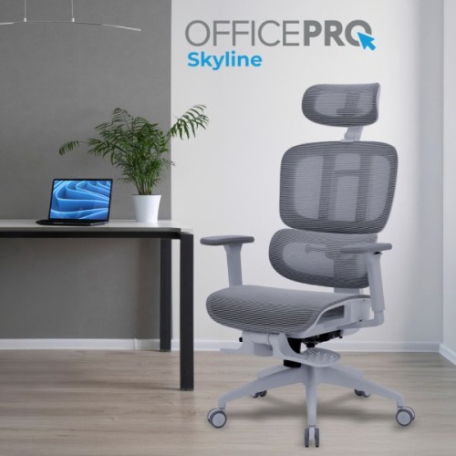 Офісне крісло OfficePro Skyline OC750-G-DG-DG (OC750-G-DG-DG)