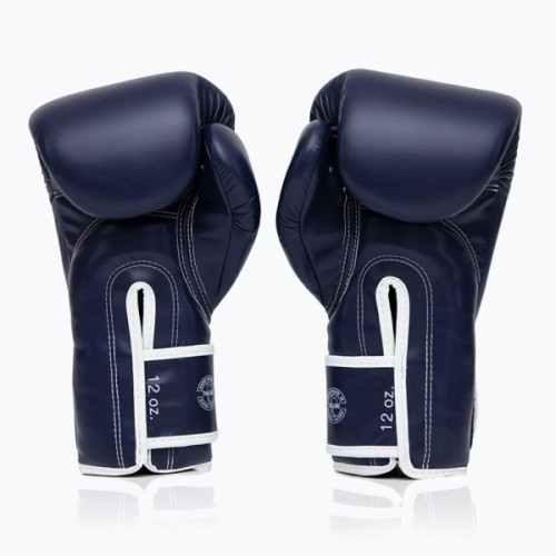 Боксерські рукавички Fairtex BGV14 Blue 12 унцій (бинти в комплекті) (BGV14_12oz_Blue)