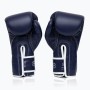 Боксерські рукавички Fairtex BGV14 Blue 12 унцій (бинти в комплекті) (BGV14_12oz_Blue)
