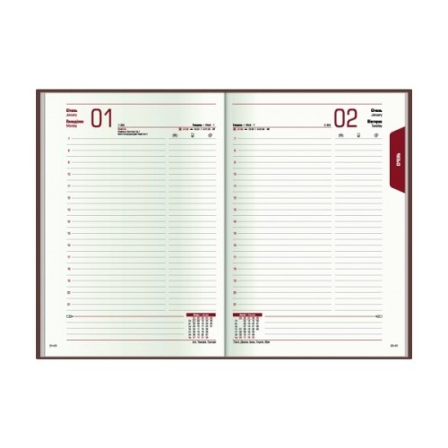 Тижневик Economix датований 2024 COLOR, А5 (E21840)