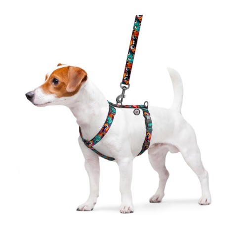 Шлея для собак WAUDOG Nylon анатомічна H-подібна з QR-паспортом "Зубасті монстри" пластиковий фастекс, L (345-4048)