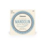 Струни для гітари D'Addario Mandolin 80/20 Bronze Light (10-34) (EJ62)
