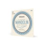 Струни для гітари D'Addario Mandolin 80/20 Bronze Light (10-34) (EJ62)