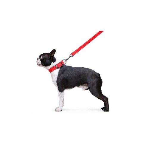 Повідець для собак Dog Extreme з нейлону подвійний Ш 20 мм Д 122 см червоний (42983)